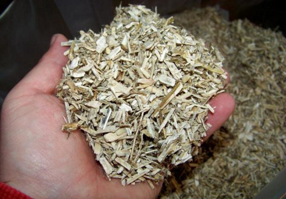 Corteccia di pioppo tremulo per preparare una tintura medicinale per la prostatite negli uomini